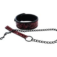 Crveni povodac Red Collar and Leash