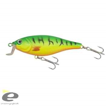 Gold Star Varalice - FAT SHAD boja 4