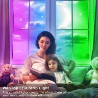 WENTOP LED Trake