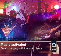 WENTOP LED Trake