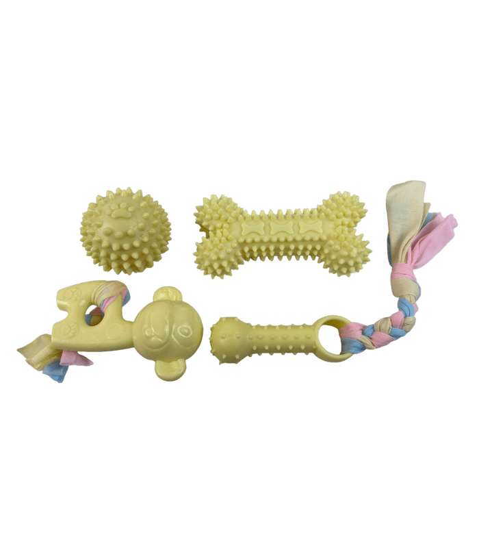 Set pet igračaka